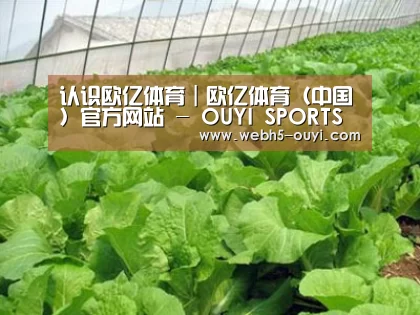 种植基地一