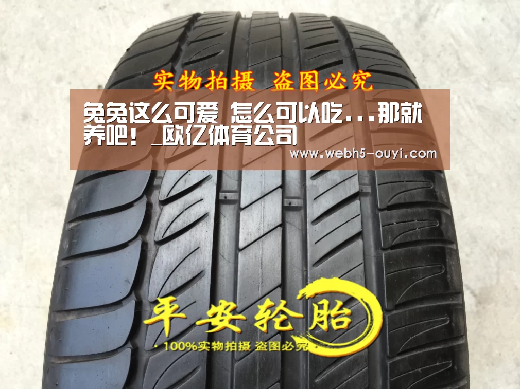 兔兔这么可爱 怎么可以吃...那就养吧!_欧亿体育公司(图1) 欧亿体育团队