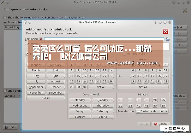 兔兔这么可爱 怎么可以吃...那就养吧!_欧亿体育公司(图3) 欧亿体育团队