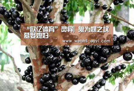 “欧亿体育”灵异| 鬼为媒之坟墓娶媳妇(图4) 欧亿体育团队
